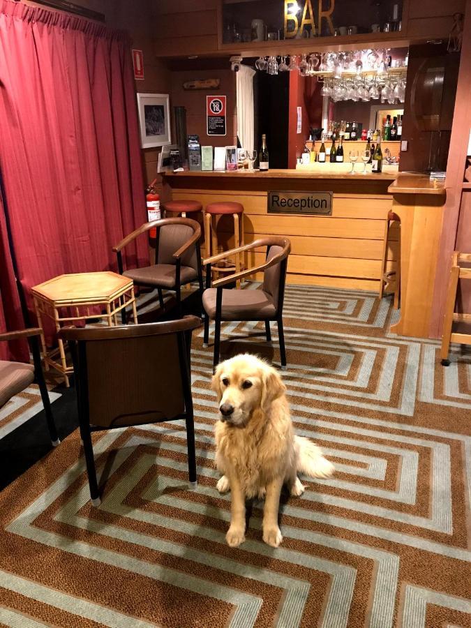 Cottonwood Lodge Berridale Bagian luar foto